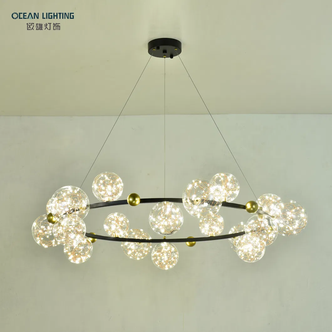 Minimalist Simple Modern Black Metal LED Ceiling Lamp Living Room