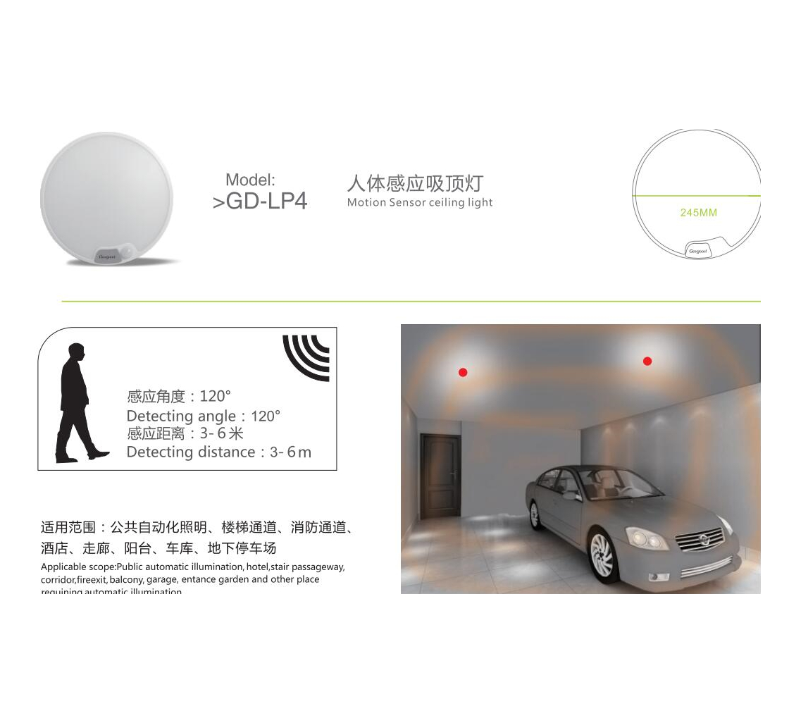 Product Details 6