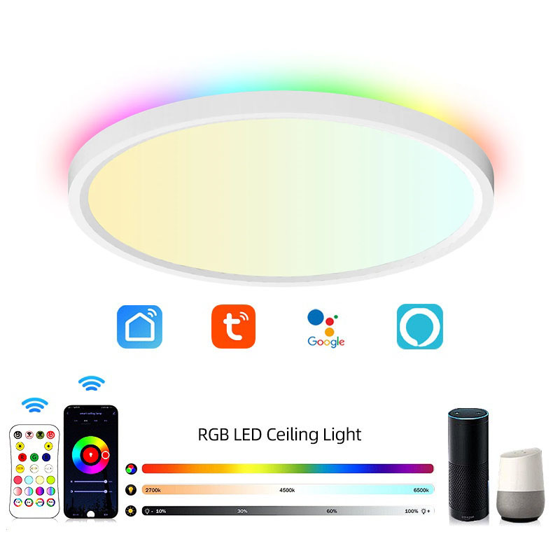 Ultra Slim RGBIC RGB+CCT Tuya WiFi ZigBee Smart LED Ceiling Light 24W AC100V AC240V CE SAA Approved Home Living Room Led light