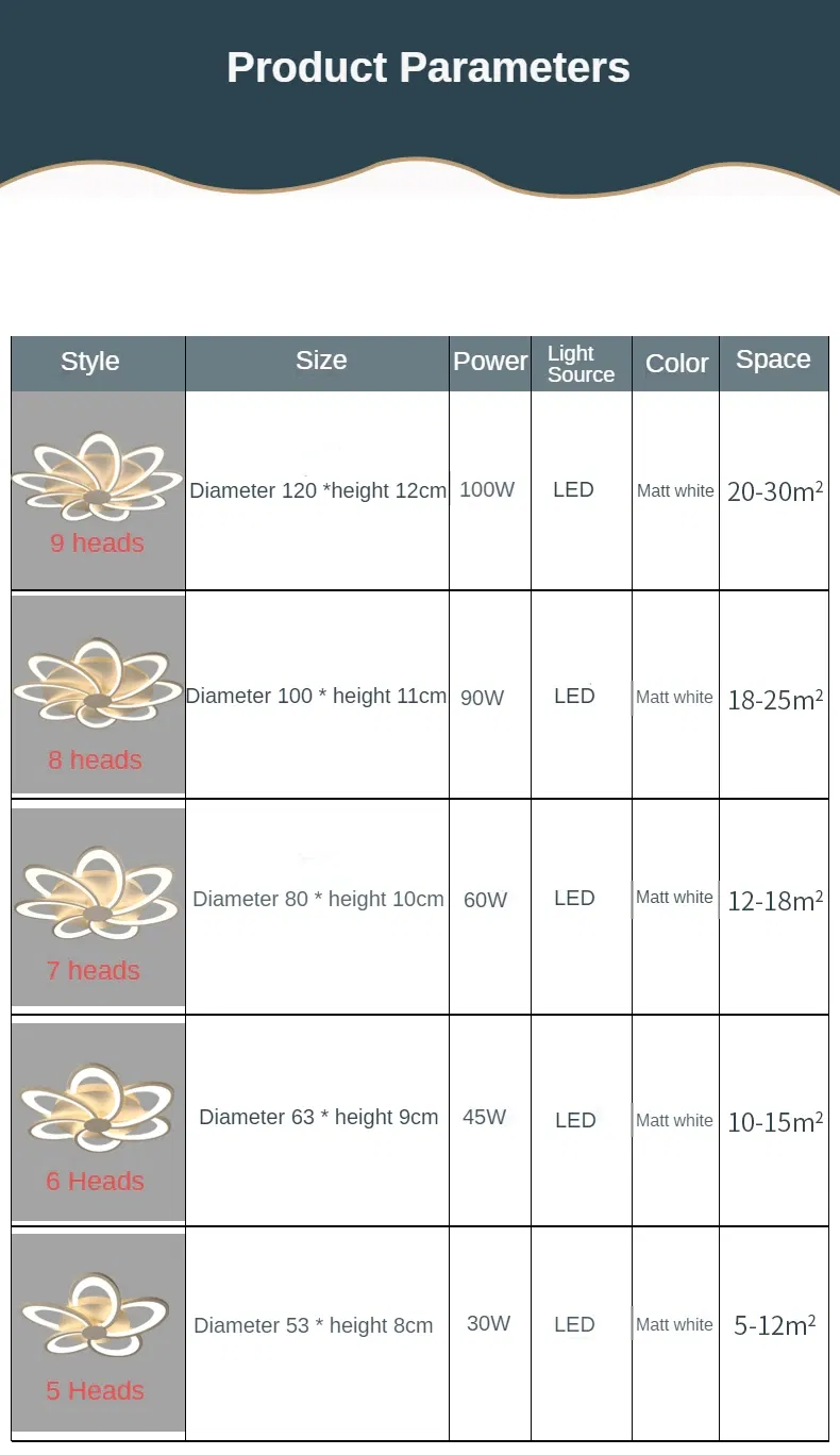 Modern Ceiling Lamp Light 10