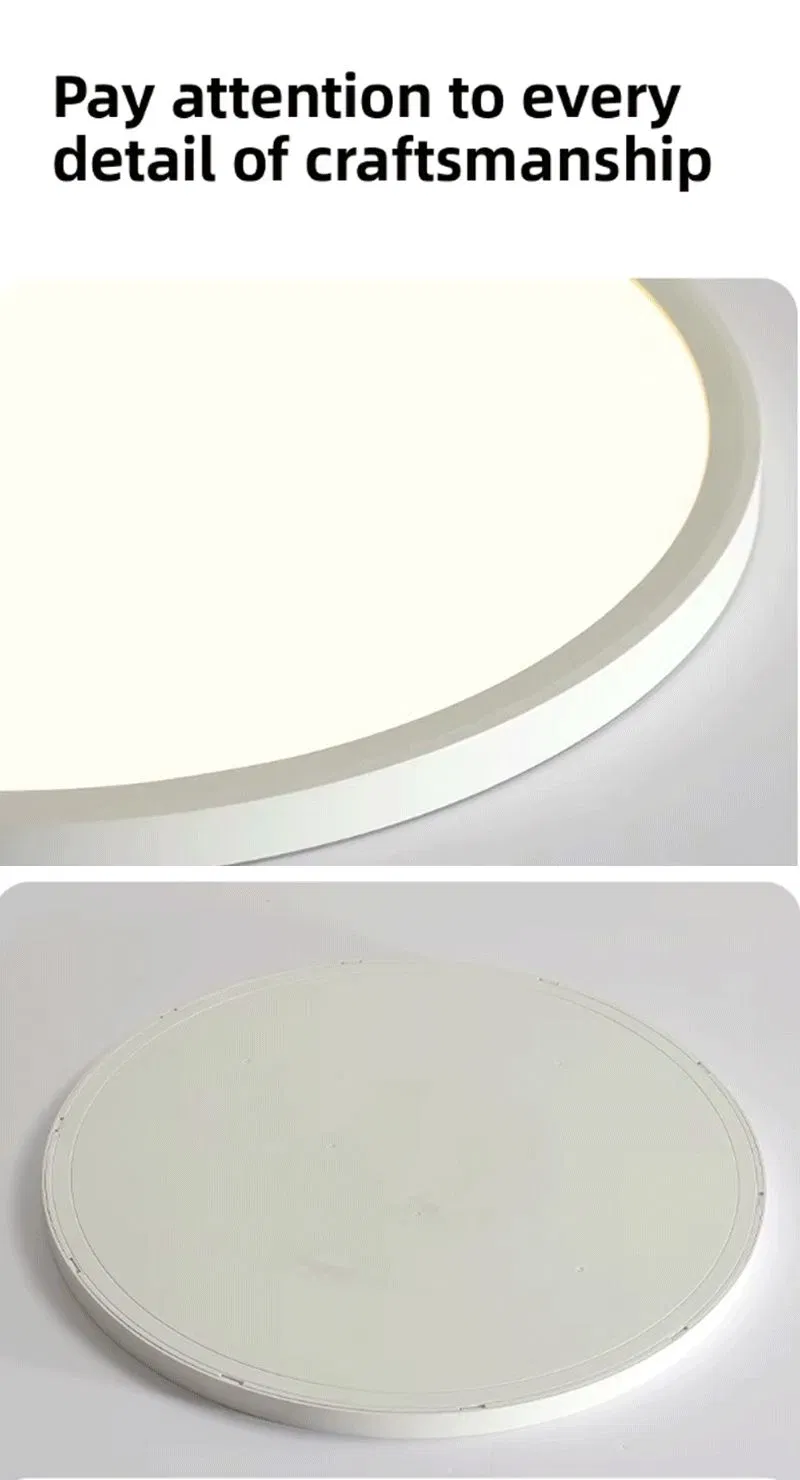 Rust Proof Ceiling Light Details 3