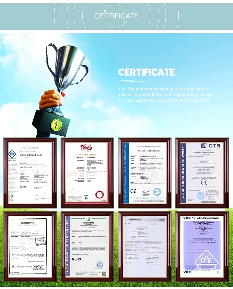 Company Overview