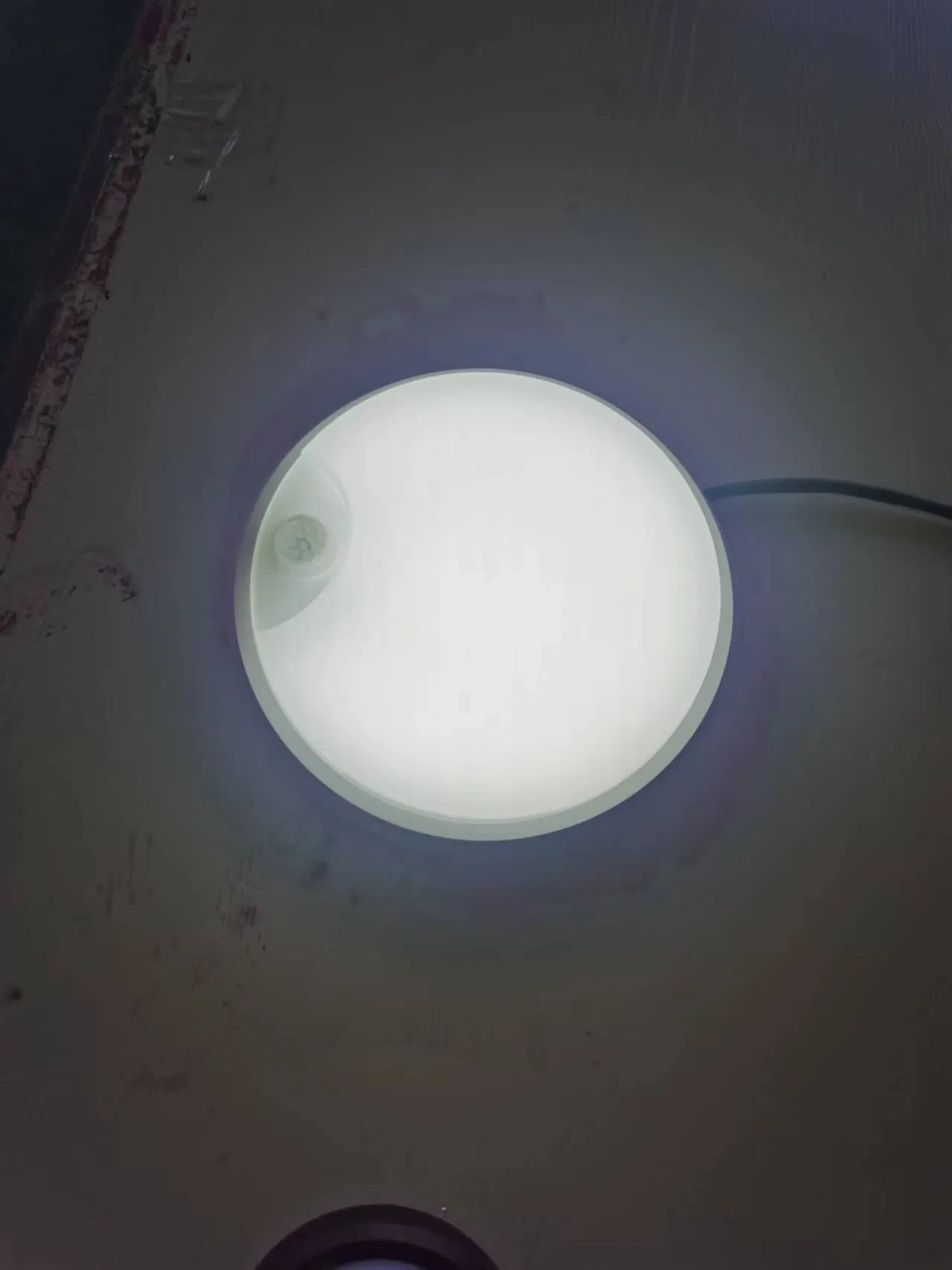 12watt Oval White LED Outdoor Ceiling Lamp with Motion Sensor Natural Light 4000K