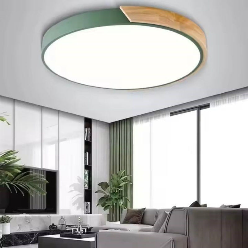 Rust Proof Ceiling Light Durable for Outdoor Canopy and Porch Lighting