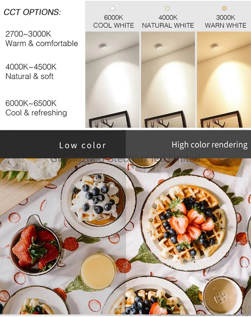 IP65 Waterproof Performance Exhibition