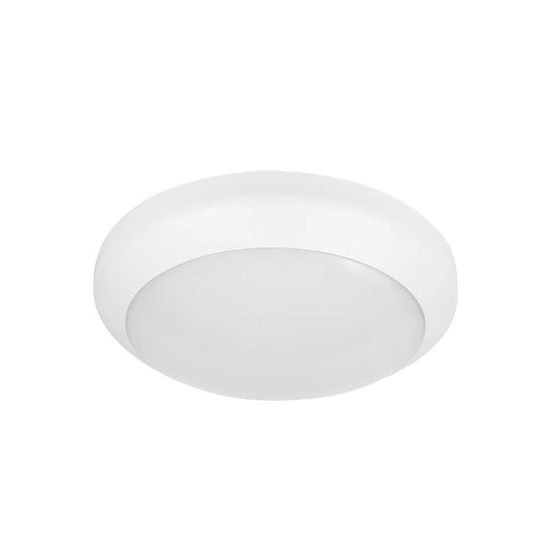 IP65 Outdoor LED Ceiling Light Hot Sale in French with Motion Sensor