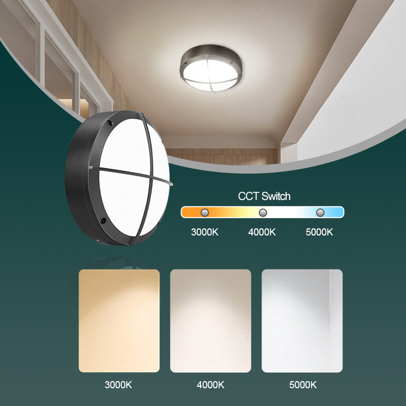 Product Detail Image 6