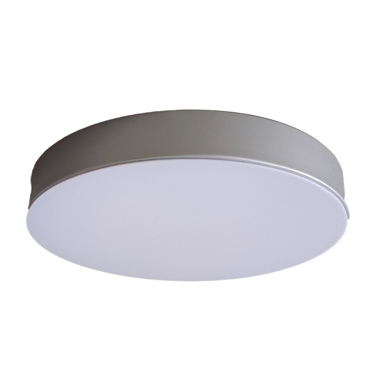 Modern Simple Style Ceiling Light Details