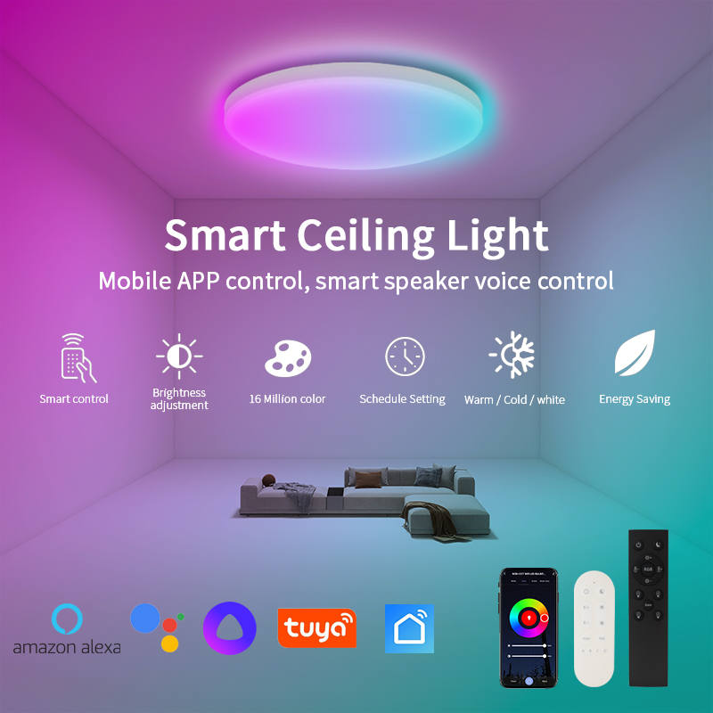 Modern 220V 24W RGB+CCT Smart Ceiling Lights High Quality Tuya Wifi LED Home Lamps with Remote Control for Bedroom Application
