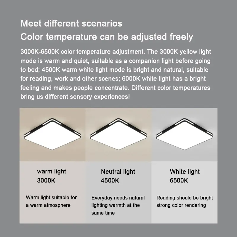 Nordic Modern Ceiling Light Minimalist Fashion Atmosphere LED Ceiling Lamp
