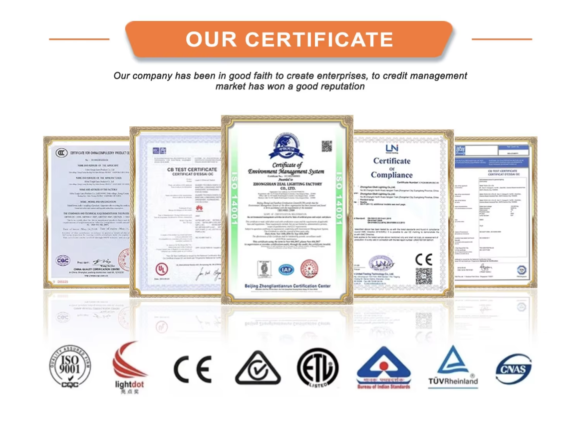 Certificate Icon