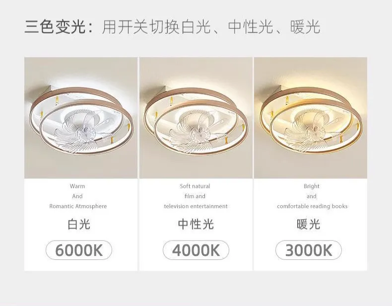 Modern Minimalist Style LED Ceiling Fan Details