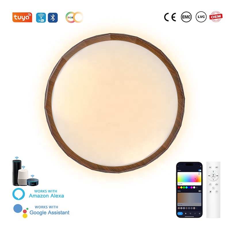Tuya Smart LED Ceiling Light with WiFi Speaker 48W 2-in-1 Voice Control &amp; Remote Control Dimmable for Bedroom