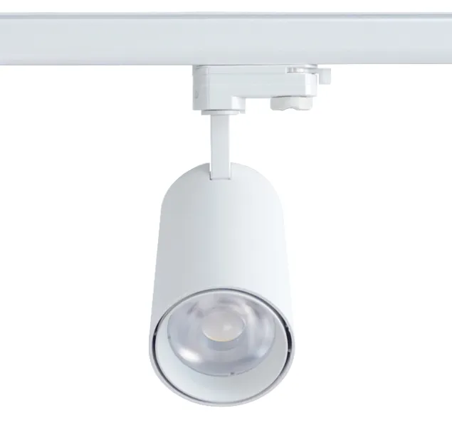 Recessed LED Light Waterproof IP65 LED Lighting COB LED Downlight for Outdoor Bathroom