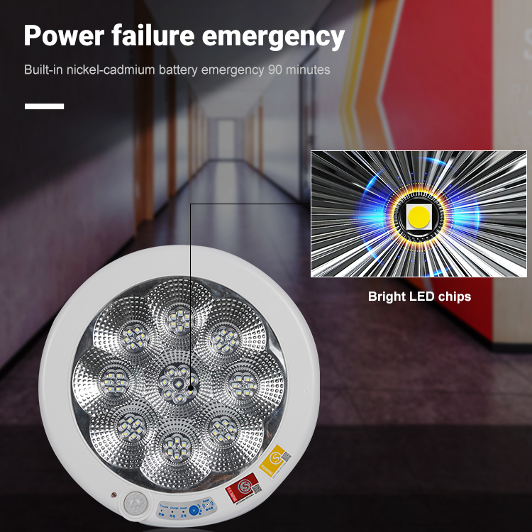 Factory Direct Sale Indoor Hotel Plastic Downlight Recessed Mounted Fireproof Led Emergency Ceiling Light