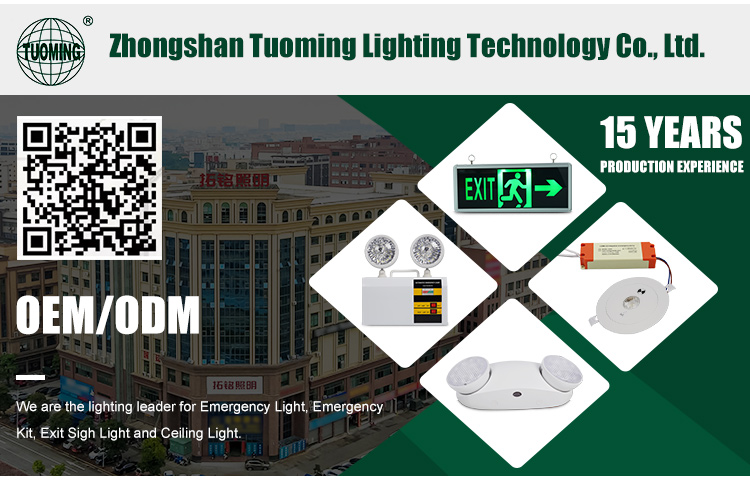 Factory Direct Sale Indoor Hotel Plastic downlight Recessed Mounted Fireproof Led Emergency Ceiling Light