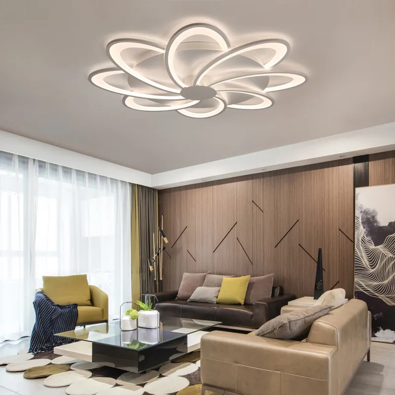 Modern Ceiling Lamp Light 2