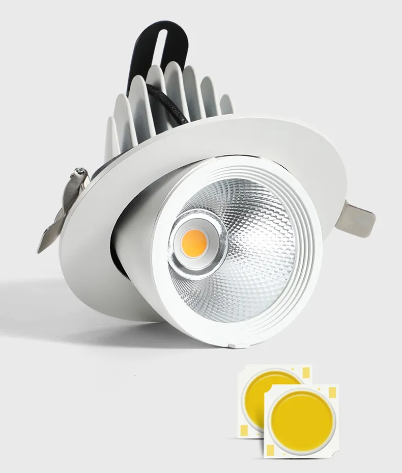 COB Trunk Down Light Options
