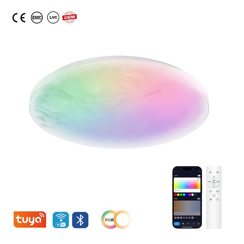 LED Ceiling Lights Smart Wifi Remote Control Dimmable Metal Acrylic Flush Mount Minimalist Indoor Lighting Decoration Modern