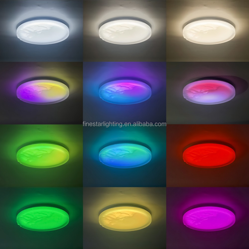 Smart Ceiling Light Feature