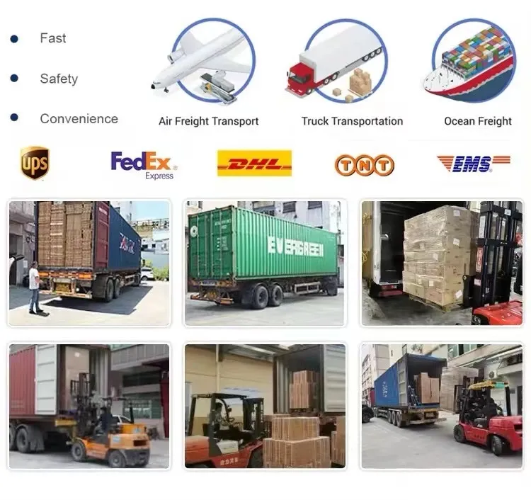 Logistics and Transport Solutions