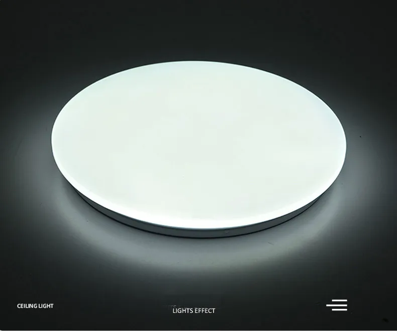 Ceiling light detail photo 2