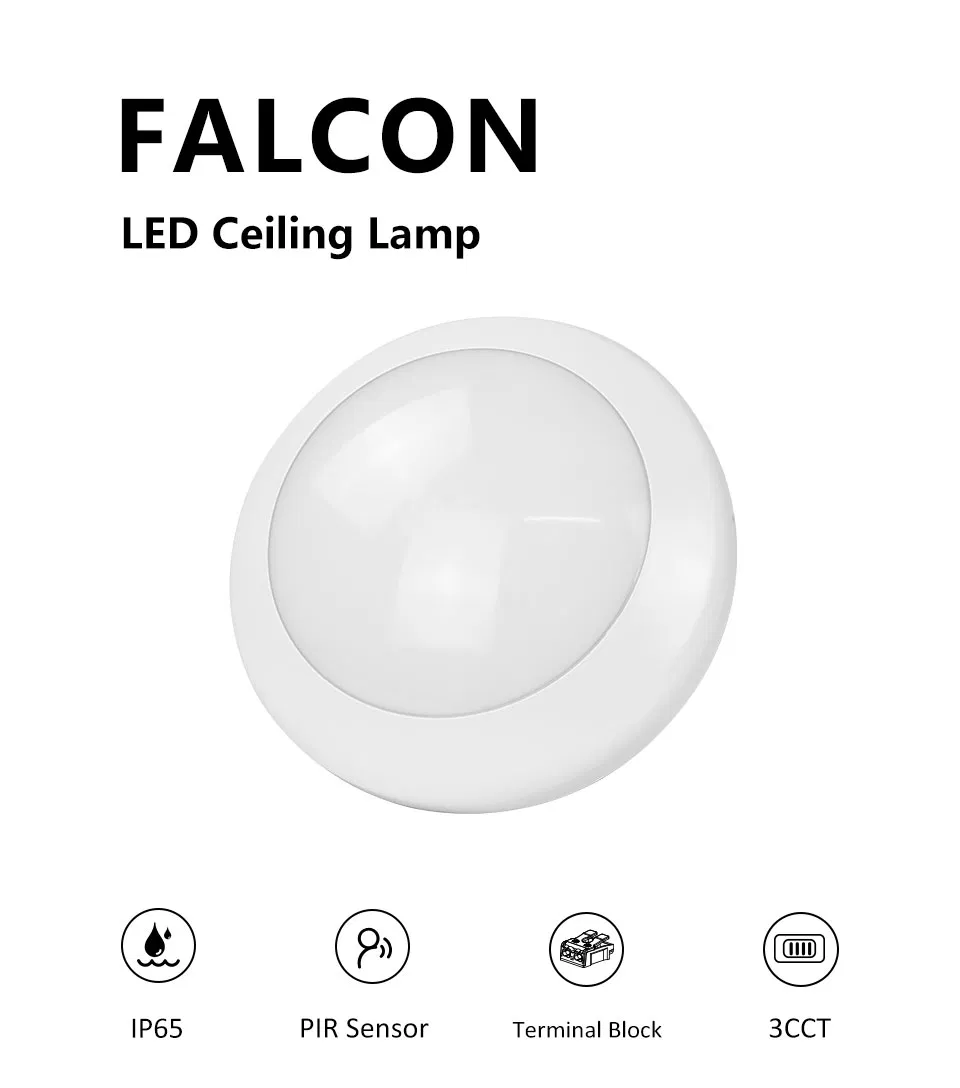 IP65 Outdoor LED Ceiling Light Hot Sale with Motion Sensor