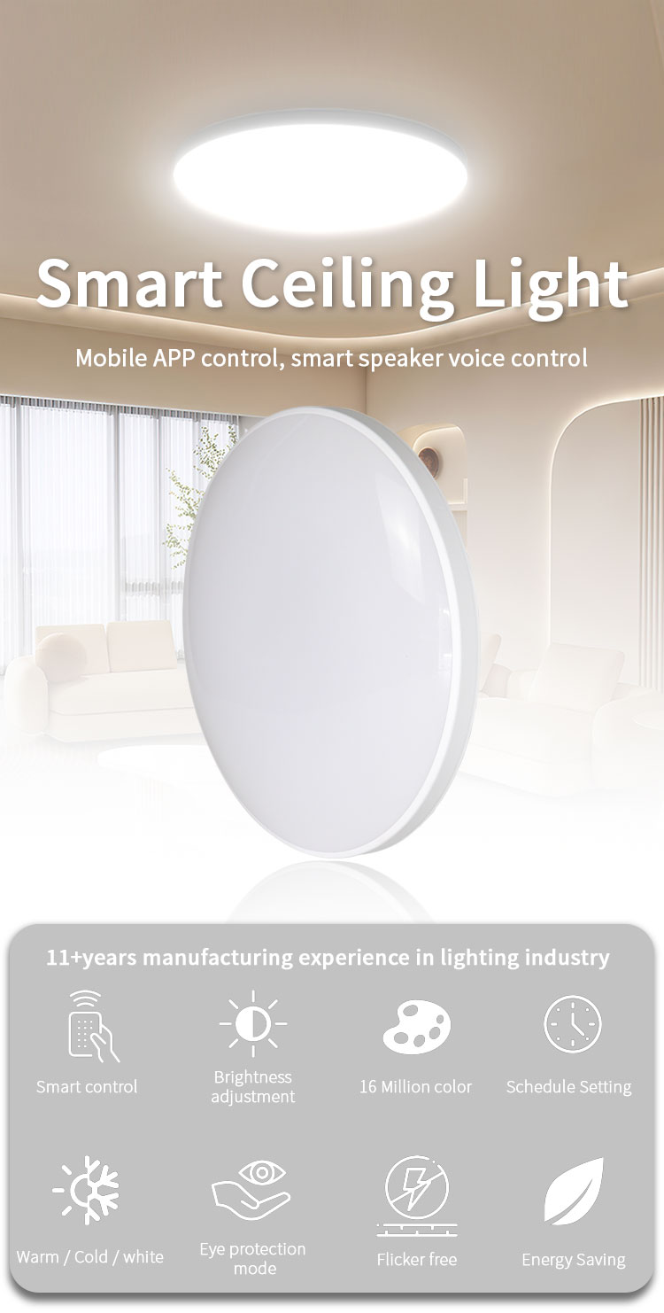 Smart Ceiling Light Detail 1