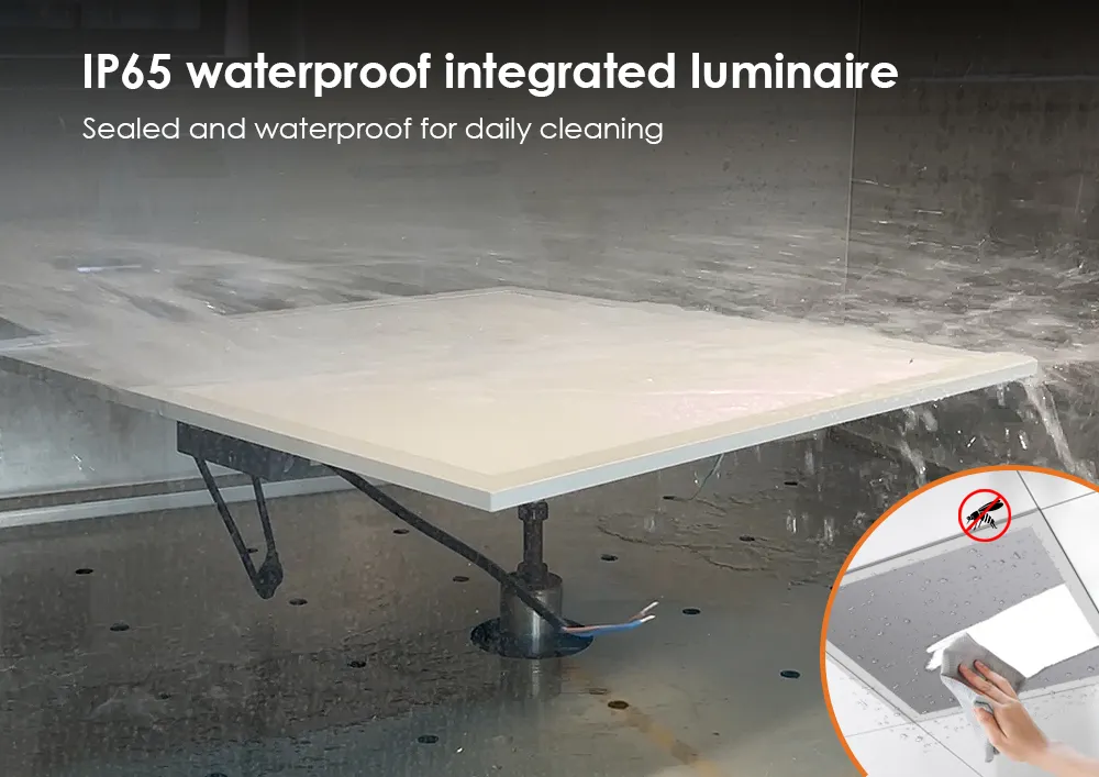 Durable IP65 Waterproof LED Light for Pools and Bathrooms