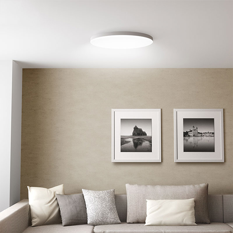 Customized Living Room Bedroom Dimmable Lighting Round 30w 45w 60w Modern Led Ceiling Light