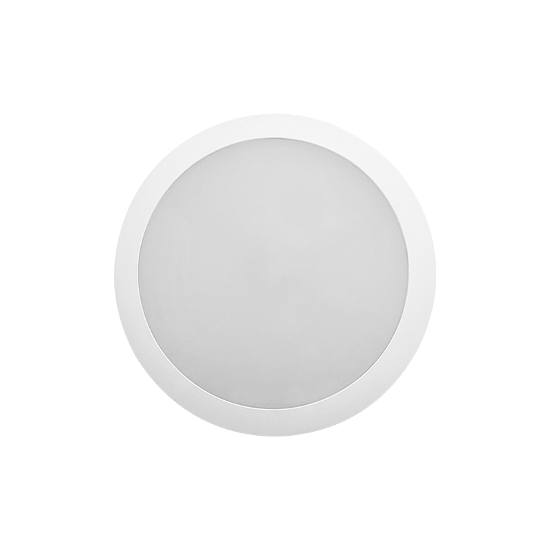 IP65 Outdoor LED Ceiling Light Hot Sale in French with Motion Sensor