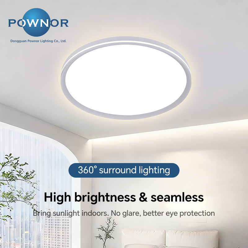 Ceiling Light Application View 1
