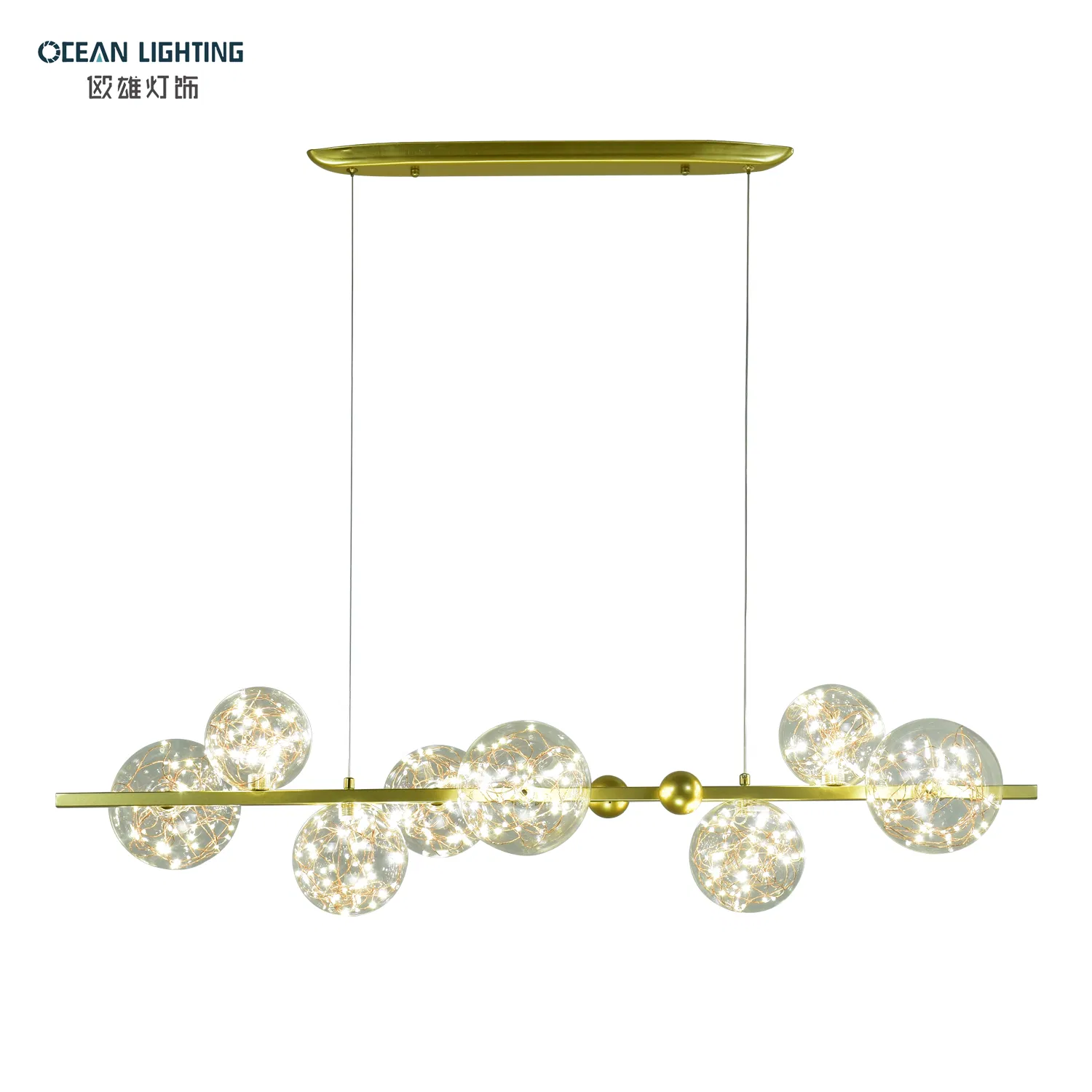 Ocean Lighting Minimalist Simple Modern Black Metal LED Ceiling Lamp Living Room