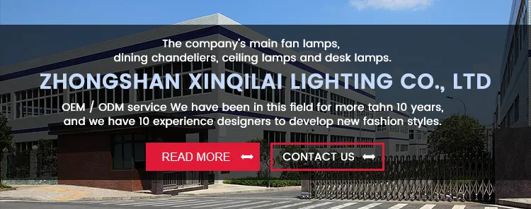 Modern Minimalist Style LED Ceiling Fan Lamp for Living Room Remote Control Switch