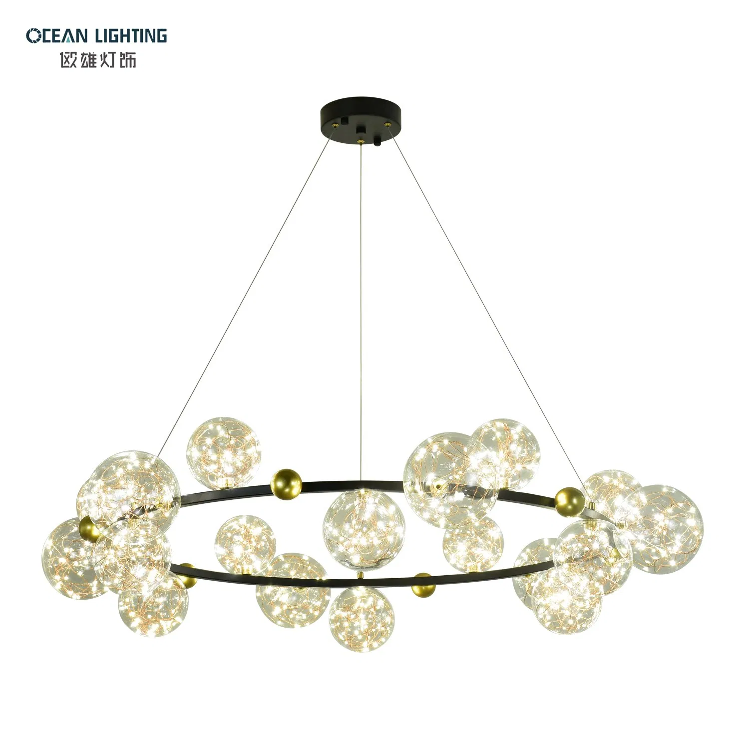 Ocean Lighting Minimalist Simple Modern Black Metal LED Ceiling Lamp Living Room