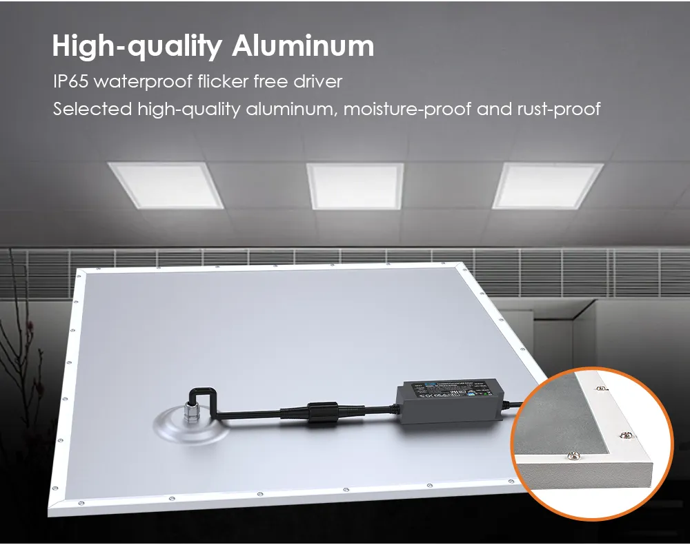 Durable IP65 Waterproof LED Light for Pools and Bathrooms