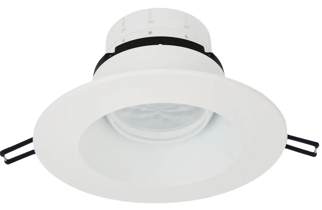 LED COB Lighting Downlight