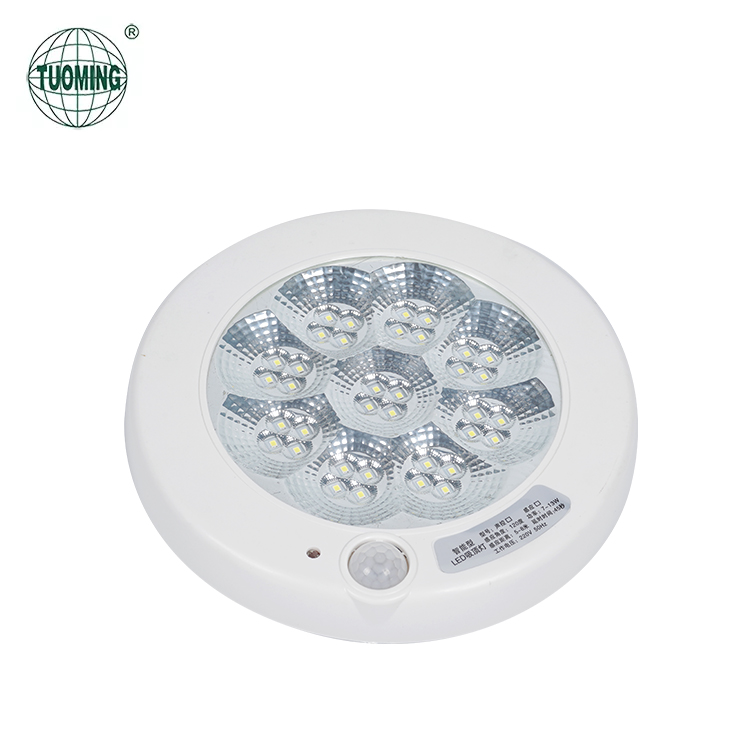 Factory Direct Sale Indoor Hotel Plastic Downlight Recessed Mounted Fireproof Led Emergency Ceiling Light