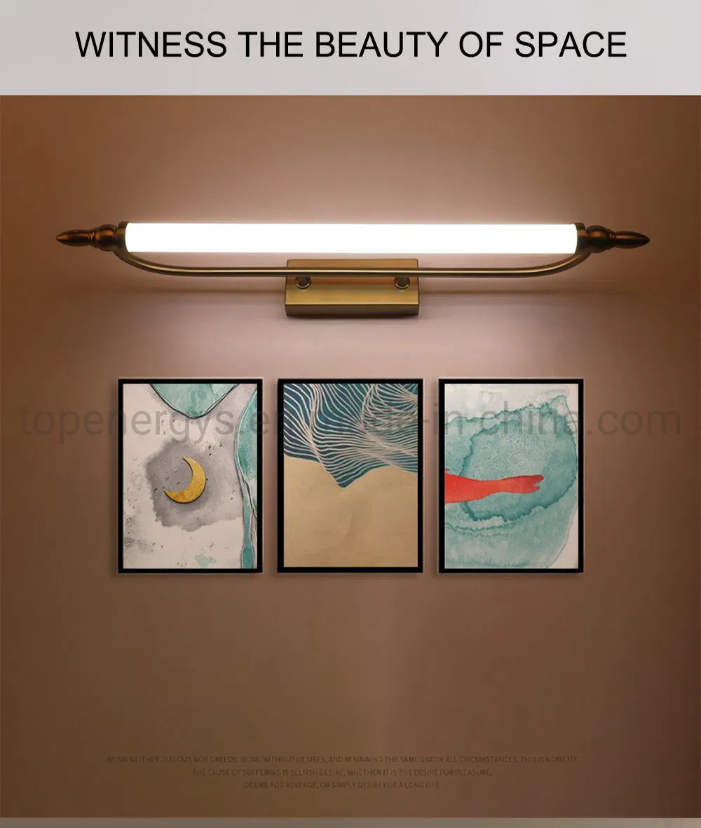 LED Mirror Light 9W AC90-260V 55cm Wall Mounted Industrial Wall Lamp Bathroom Light IP65 Waterproof Acrylic Metal