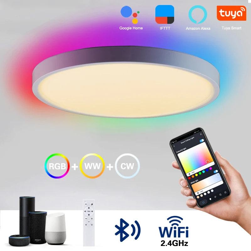 Bathroom Kitchen Waterproof smart Ceiling Light LED Music Ceiling Light Bluetooth Speaker Certified 24W Silver Diameter light