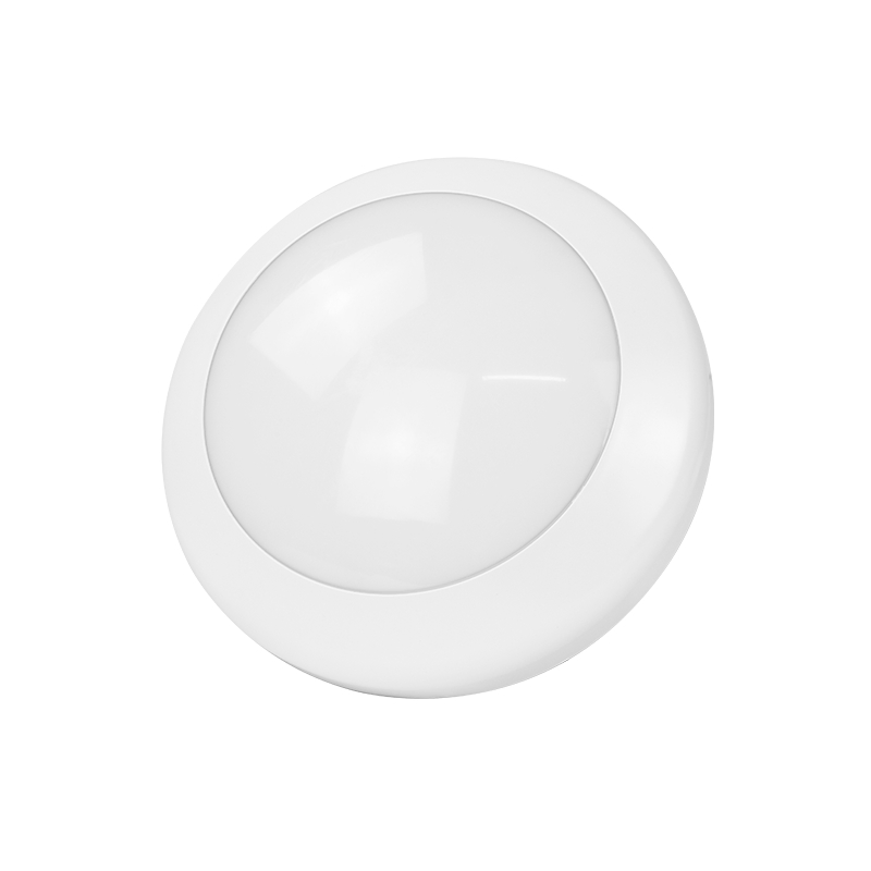 IP65 Outdoor LED Ceiling Light Hot Sale in French with Motion Sensor