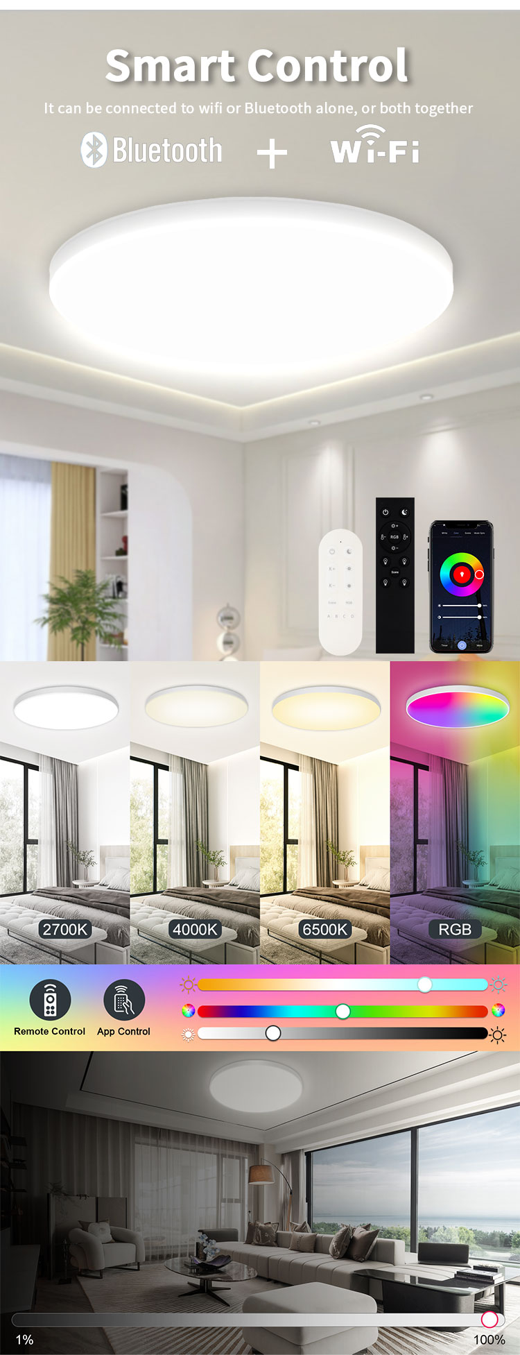 Smart Ceiling Light Detail 2