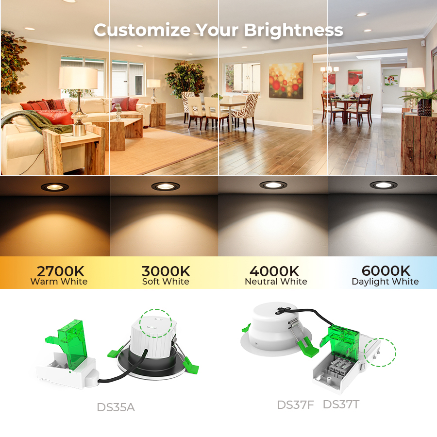 Product Downlight Top View