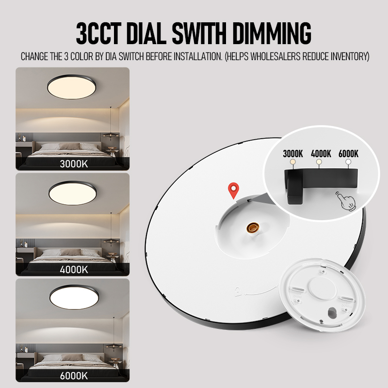 Modern Smart 24W-48W LED Ceiling Light Fixture Ultra-Thin 5CCT Stepless Dimming ABS Cover For Home Living Room Ceiling Lighting