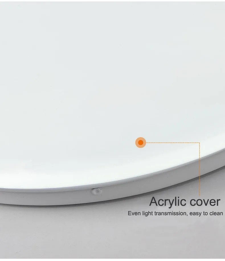 Ceiling Light Side View and Cover Detail