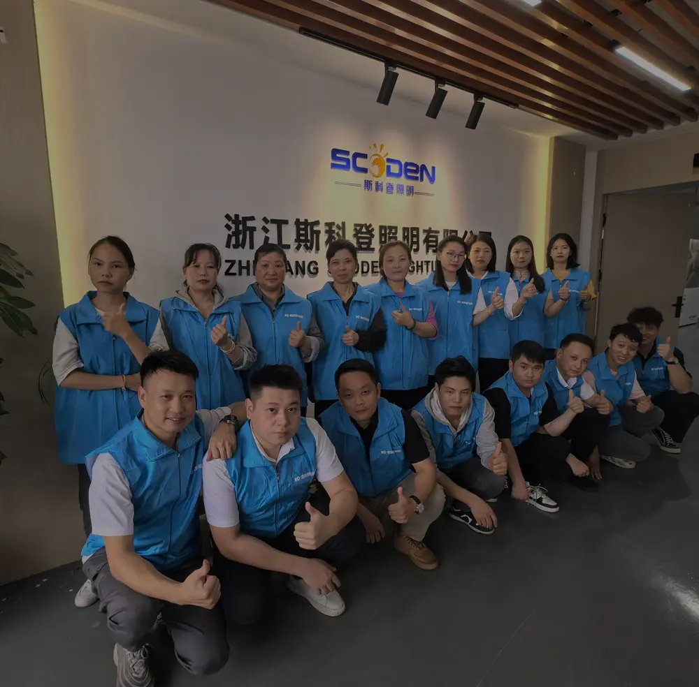 Professional R&D and Export Team