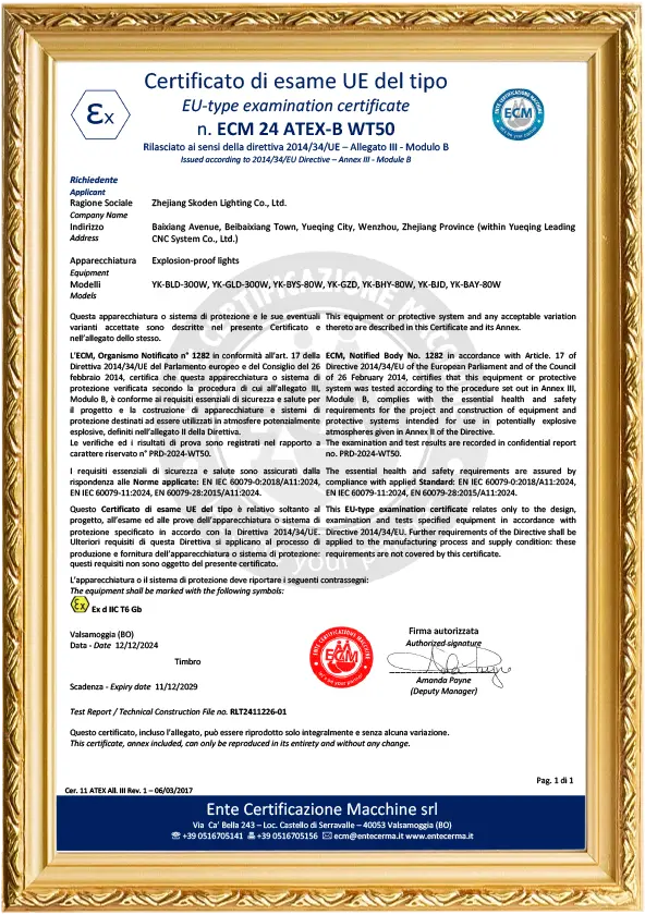 Scoden Lighting Engineering Certificate 03
