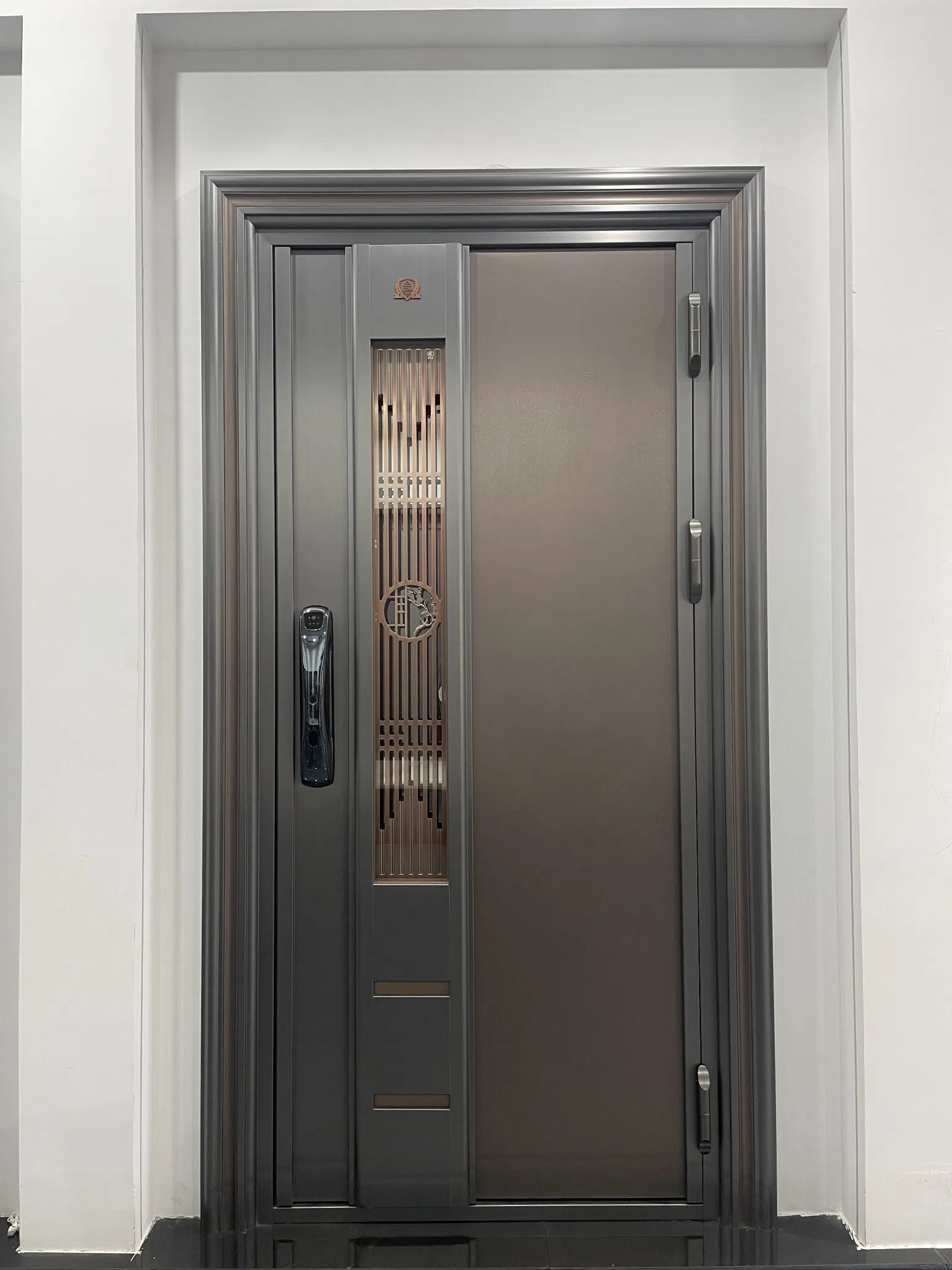 High-Security Stainless Steel Security Entry Door with Multi-Point Locking System