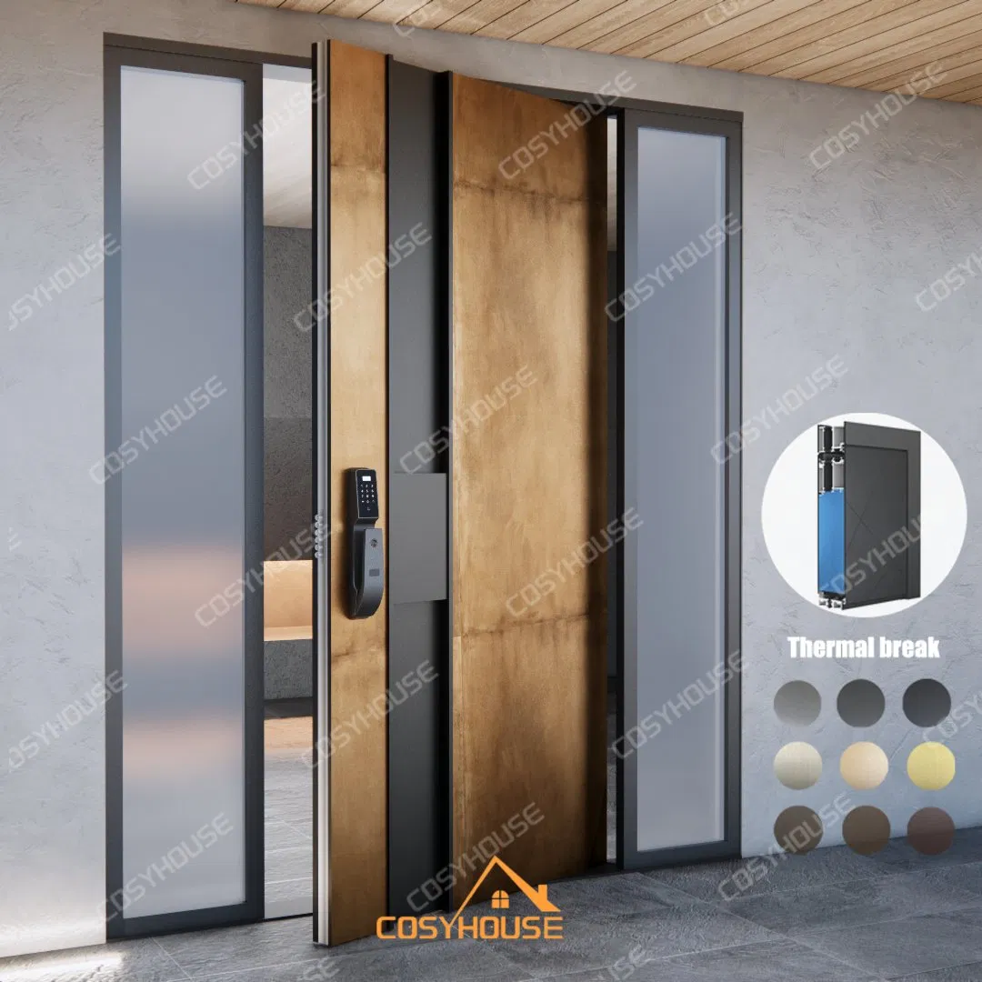 Custom Exterior Front Door with Aged Bronze Finish and Side Panels for Upscale Villas and Apartments