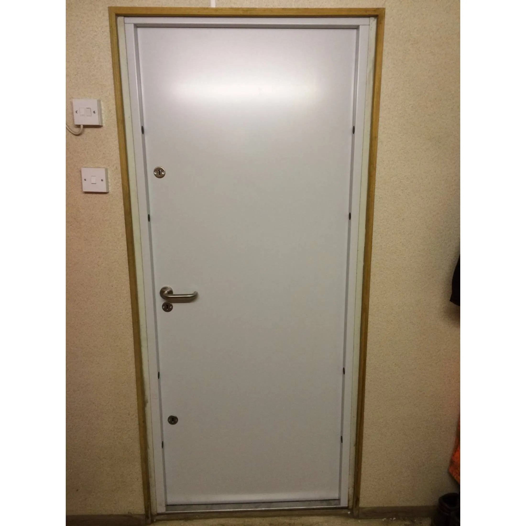 Modern Style 90 Minute Customization Exterior Steel Fire Rated Door